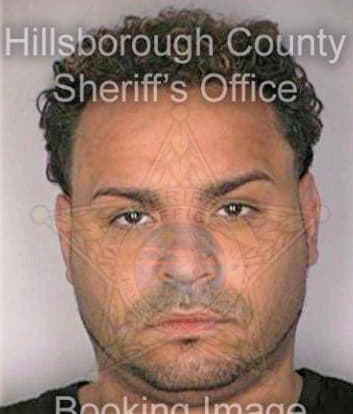 Pantoja Hermino - Hillsborough County, FL 