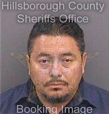 Blanco Erasmo - Hillsborough County, FL 