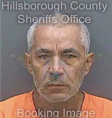Silvahernandez Juan - Hillsborough County, FL 