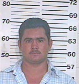 Hernandez Armando - Hidalgo County, TX 