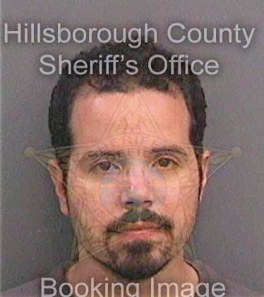 Lizardi Christopher - Hillsborough County, FL 