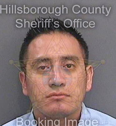 Miguelflores Adrian - Hillsborough County, FL 