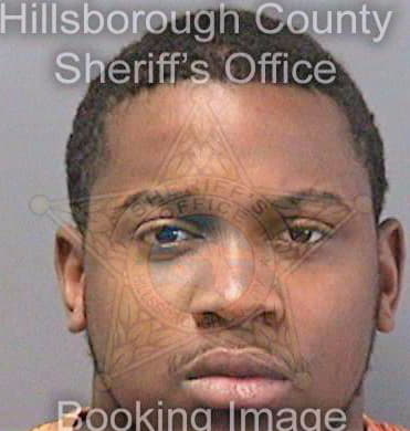 Devlin Tyrone - Hillsborough County, FL 