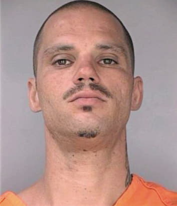 Mcdurfee Mark - Hillsborough County, FL 