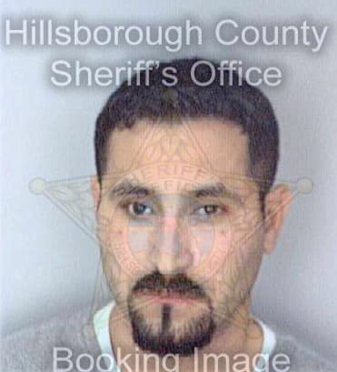 Perez Carlos - Hillsborough County, FL 