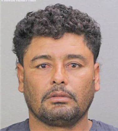 Hernandezventura Emilio - Broward County, FL 