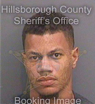 Simms William - Hillsborough County, FL 