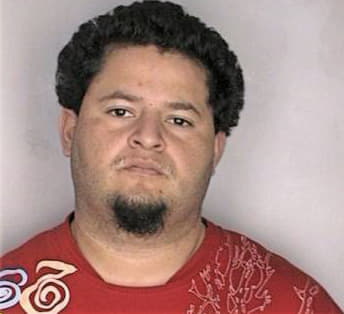 Meza David - Hillsborough County, FL 