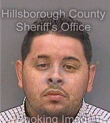 Hernandez Christopher - Hillsborough County, FL 