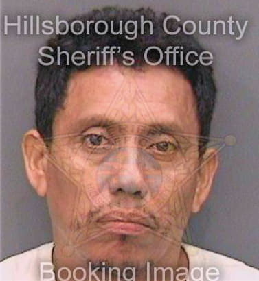 Garcia Carlos - Hillsborough County, FL 