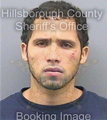 Orozco Jorge - Hillsborough County, FL 