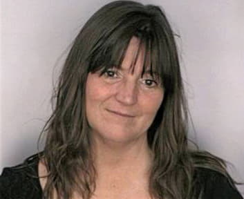 Mcelveen Sandra - Hillsborough County, FL 