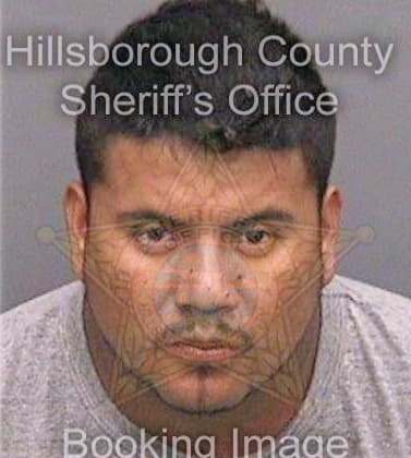 Trejo Erik - Hillsborough County, FL 