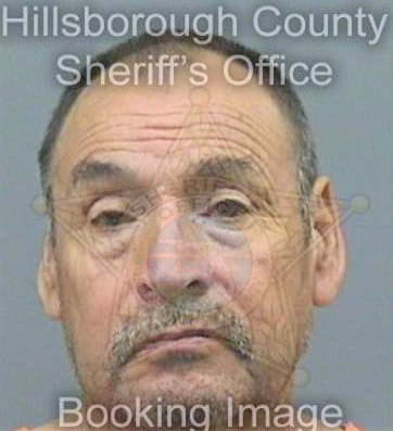 Mercadohernandez Alfonso - Hillsborough County, FL 