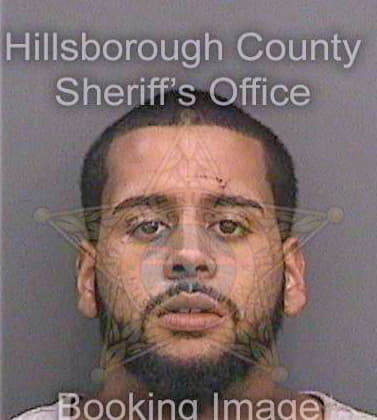 Guzman Rafael - Hillsborough County, FL 