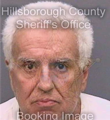 Sanchez Humberto - Hillsborough County, FL 