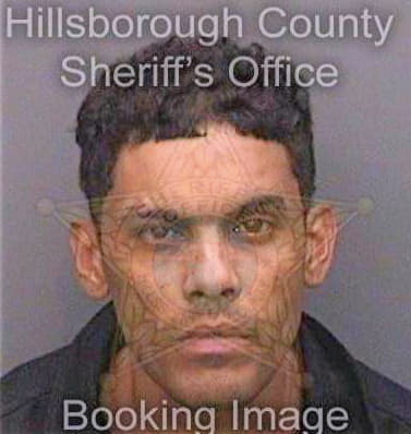 Diazdejesus Roy - Hillsborough County, FL 