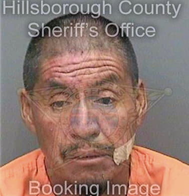 Villasanarodriguez Juan - Hillsborough County, FL 