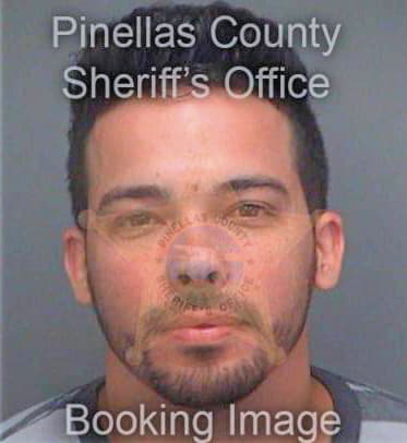 Jimenezgonzalez Kelvin - Pinellas County, FL 