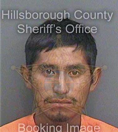 Santizo Adolfo - Hillsborough County, FL 