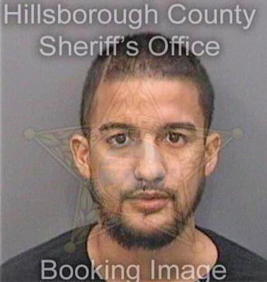 Ferrer Jonathan - Hillsborough County, FL 