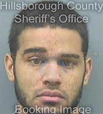 Mathis Brandon - Hillsborough County, FL 