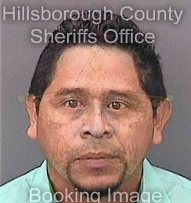 Gonzalez Wilman - Hillsborough County, FL 