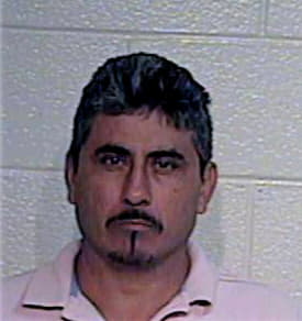 Alvarado Gerardo - Hidalgo County, TX 