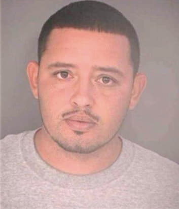 Meza Arturo - Hillsborough County, FL 