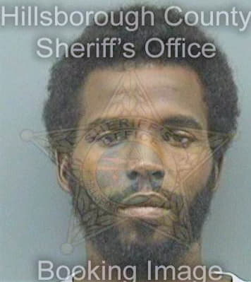 Jeanty Yves - Hillsborough County, FL 