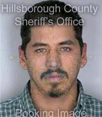 Soto Hector - Hillsborough County, FL 