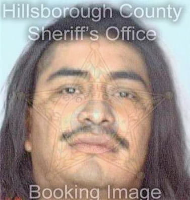 Martinez Jose - Hillsborough County, FL 