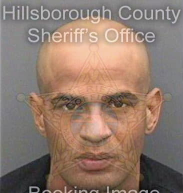 Edwards Maurice - Hillsborough County, FL 