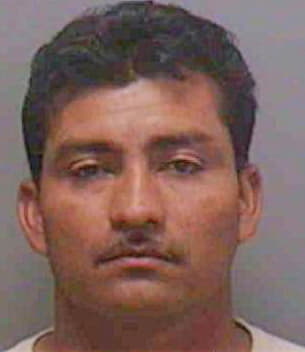 Ruiz-Galvez Bertin - Lee County, FL 