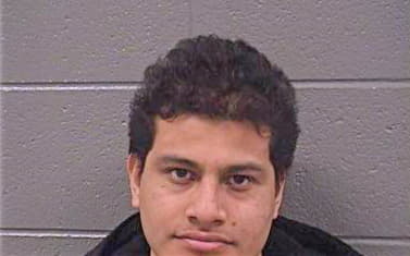 Garcia Misael - Cook County, IL 