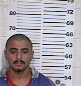 Hernandez Arnulfo - Hidalgo County, TX 