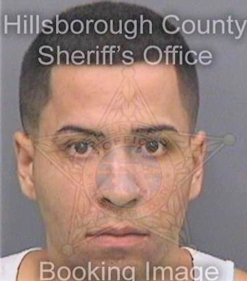 Bisonomiro Javier - Hillsborough County, FL 