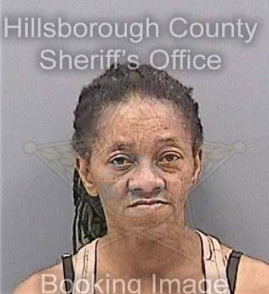 Belin Teessie - Hillsborough County, FL 