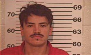 Hernandez Mauricio - Hidalgo County, TX 