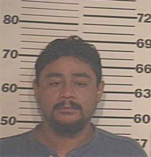 Trevino Fernando - Hidalgo County, TX 