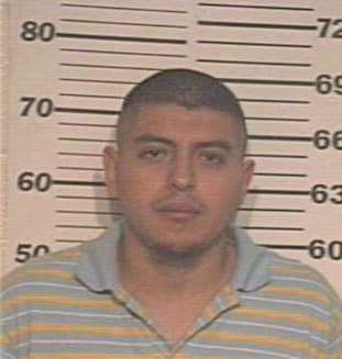 Hernandez Kenneth - Hidalgo County, TX 