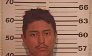 Guerrero David - Hidalgo County, TX 