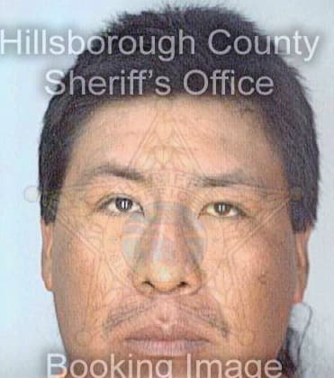 Velasquez Juan - Hillsborough County, FL 