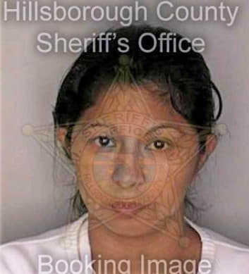 Delcid Thelma - Hillsborough County, FL 