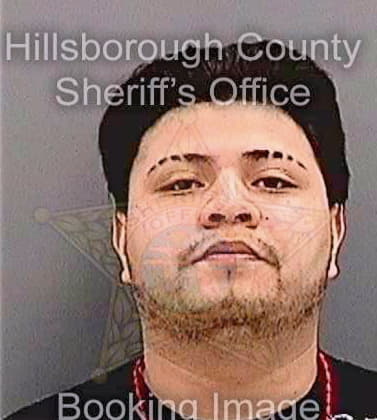 Gonzalez Jose - Hillsborough County, FL 