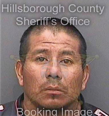 Lopezpedro Elias - Hillsborough County, FL 