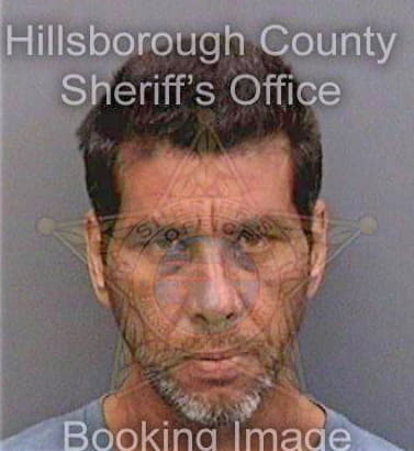 Diazdeleon Miguel - Hillsborough County, FL 