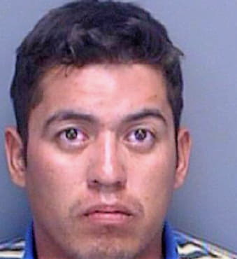 Hernandez Yusef - Pinellas County, FL 