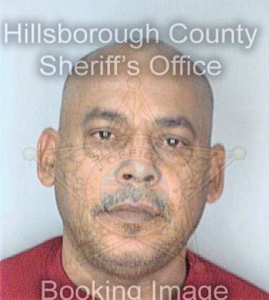 Negron Juan - Hillsborough County, FL 