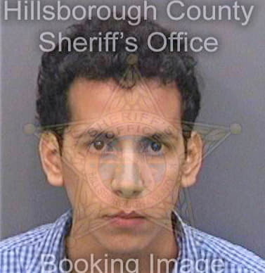 Bezadapizango Andres - Hillsborough County, FL 